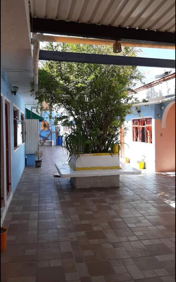 Hotel Reforma Inn Querétaro Exteriör bild